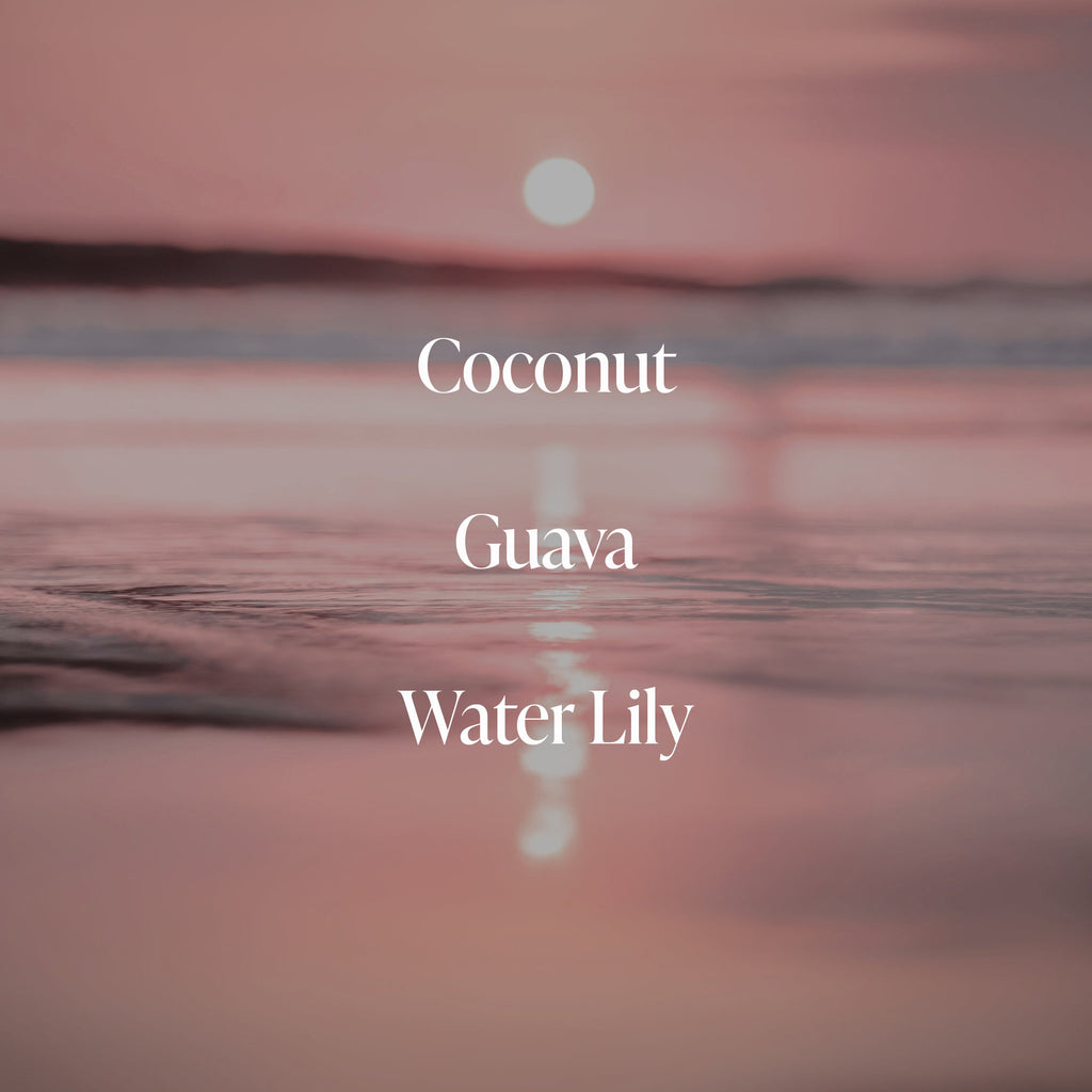 Coral Coast - Body Scrub